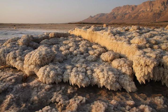 Rose Dead Sea Neve Zohar Hotel Phòng bức ảnh