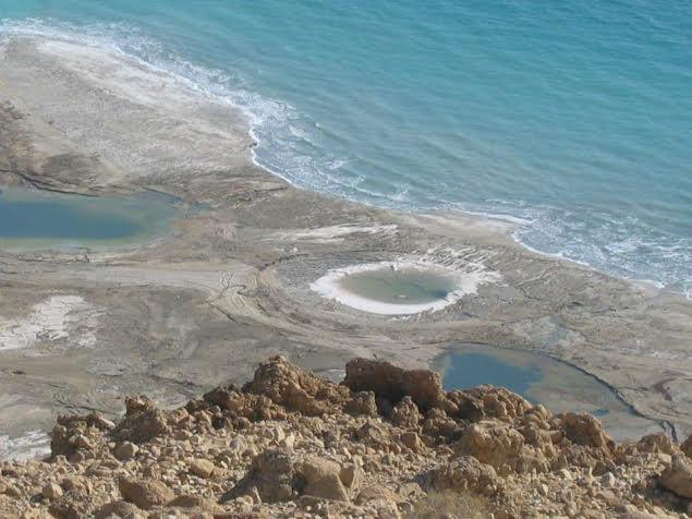 Rose Dead Sea Neve Zohar Hotel Phòng bức ảnh
